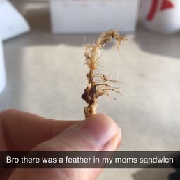 Feather in my moms sandwich!