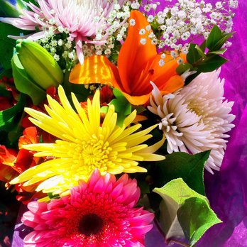 Brothers Papadopoulos - Florists Near Me - San Francisco, California Brothers Papadopoulos - Florists Near Me - San Francisco, California