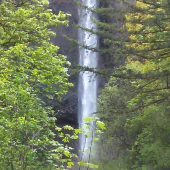 Latourell Falls - My phone camera zoom is pretty good lol - Hiking Near Me - Portland, Oregon Latourell Falls - My phone camera zoom is pretty good lol - Hiking Near Me - Portland, Oregon