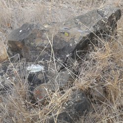 Dinosaur Ridge