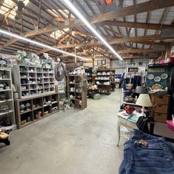 Wild Lilly’s Market - Shopping!