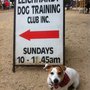 Photo of Harberfield Dog Park