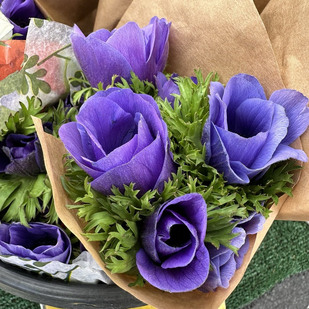 Oceanside Farmer's Market - Farmers Market Near Me - Oceanside, California