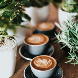 Tamsin Sarah Design - We are a design studio based in South Lake Tahoe, CA, with a focus on bespoke graphic design, creative consulting, visual marketing, & more
