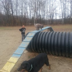 Starr Farm Dog Park - Such a fun place to bring your fur babies!