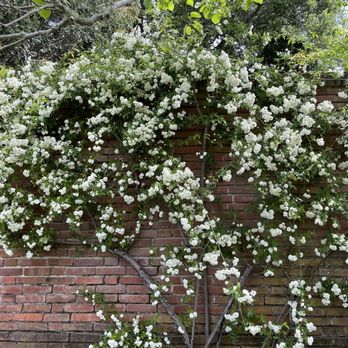 Filoli - Botanical Gardens Near Me - Woodside, California