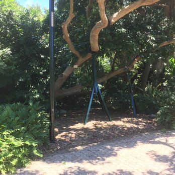 City Botanic Gardens - Botanical Gardens Near Me - Brisbane, QLD