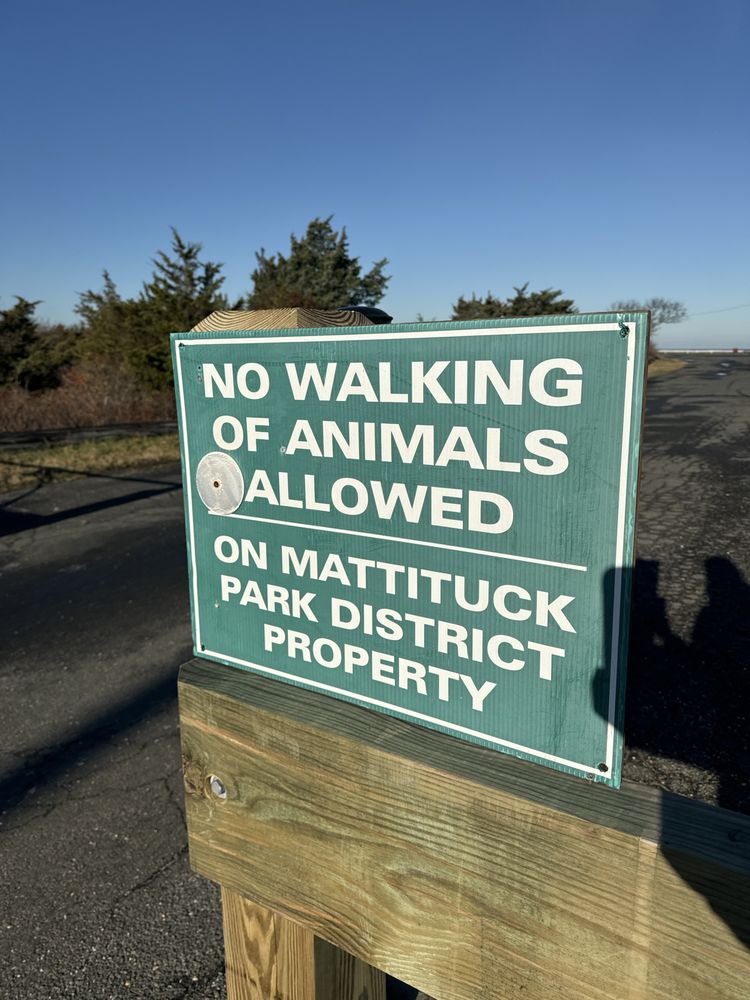BREAKWATER BEACH Updated October 2024 12 Photos 5155 Breakwater