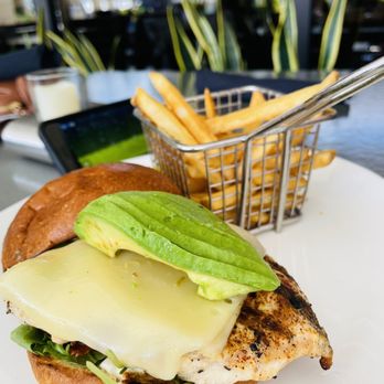 Yard House - Chicken Grilled Chicken & Avocado Sandwich - Bars Near Me - Hallandale Beach, Florida Yard House - Chicken Grilled Chicken & Avocado Sandwich - Bars Near Me - Hallandale Beach, Florida