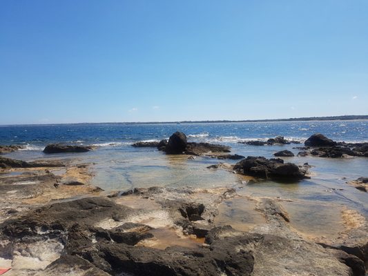 Riserva naturale orientata Oasi Faunistica di Vendicari by null