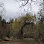 Photo of Robinswood Park