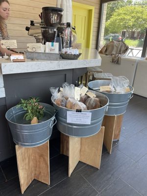 Yellow Dog Bread Company by null