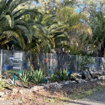 Summerwind Kennels - Summerwind Kennel - Pet Training Near Me - Vacaville, California Summerwind Kennels - Summerwind Kennel - Pet Training Near Me - Vacaville, California