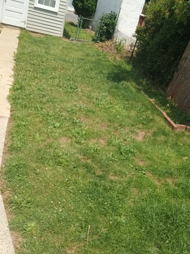 Slide of Caleb Landscaping