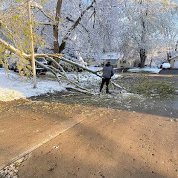 Better Than Affordable - Work - Tree Services Near Me
