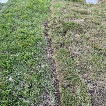 Austex Landscape And Design - No edging - Irrigation Near Me - Leander, Texas Austex Landscape And Design - No edging - Irrigation Near Me - Leander, Texas