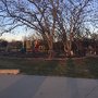 Photo of St Michael's Playground