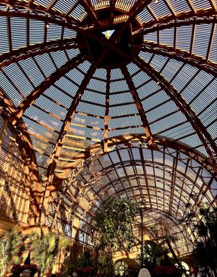 Botanical Building by null