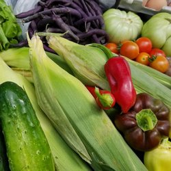 Veg Out - CSA Share