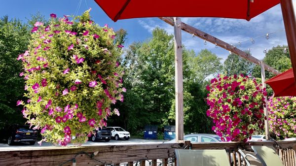 Marcella's Restaurant by null