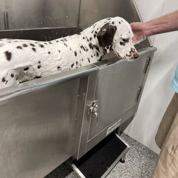 Tractor Supply - Freckles having a bath! - Department Stores Near Me - Cape Coral, Florida Tractor Supply - Freckles having a bath! - Department Stores Near Me - Cape Coral, Florida