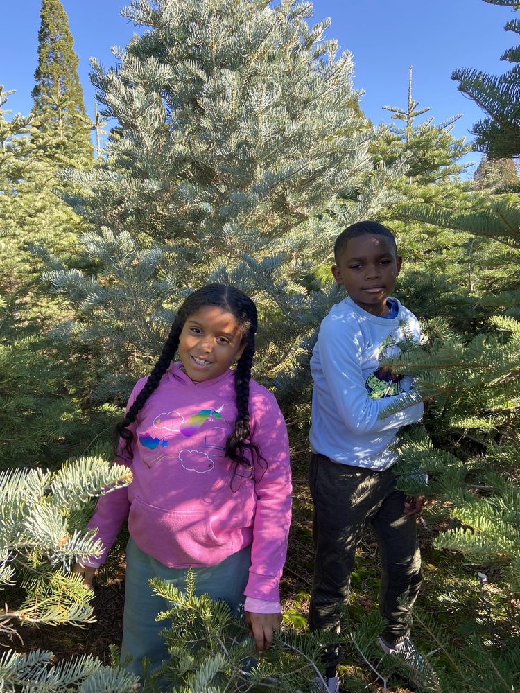 MCGEE CHRISTMAS TREE FARM TEMP. CLOSED Updated July 2024 27