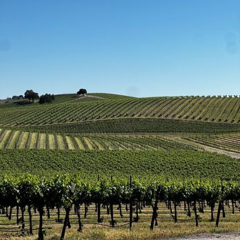 Venteux Vineyards - Wineries Near Me - Templeton, California Venteux Vineyards - Wineries Near Me - Templeton, California