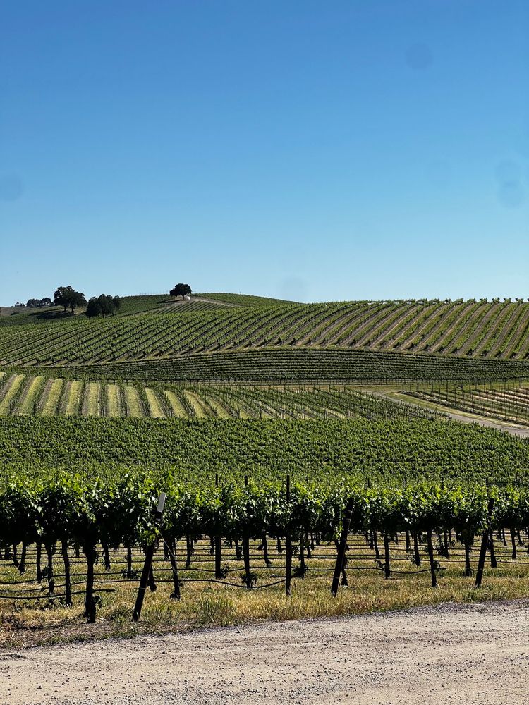 Venteux Vineyards Logo