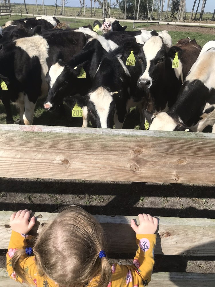 Milking R Image