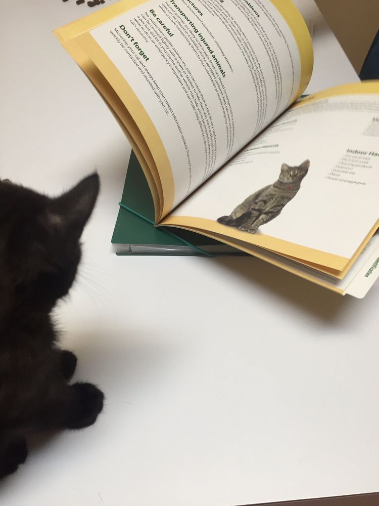 SHAW VETERINARY HOSPITAL Updated August 2024 1119 E Shaw Ave