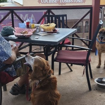 Crystal Palace Saloon - Dogs enjoyed the upstairs patio - Bars Near Me - Tombstone, Arizona