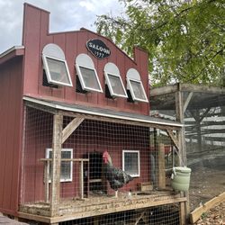 Old Mcdonald's Pumpkin Patch and Corn Maze