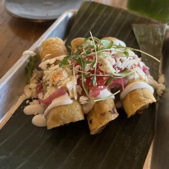 Zona Rosa - Taquitos Dorado - Mexican Near Me - San Jose, California Zona Rosa - Taquitos Dorado - Mexican Near Me - San Jose, California