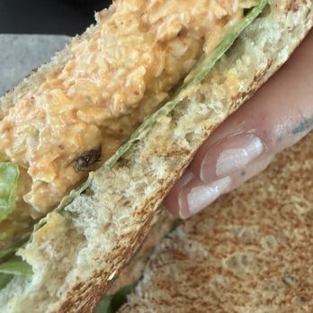 Chicken Salad Chick - Bug in sandwich - Salad Near Me - Colorado Springs, Colorado Chicken Salad Chick - Bug in sandwich - Salad Near Me - Colorado Springs, Colorado