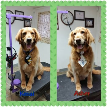 Vakre Grooming - Pet Groomers Near Me - Roy, Washington Vakre Grooming - Pet Groomers Near Me - Roy, Washington