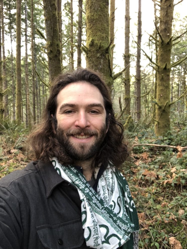 Walking Tree Massage And Healing Arts Logo