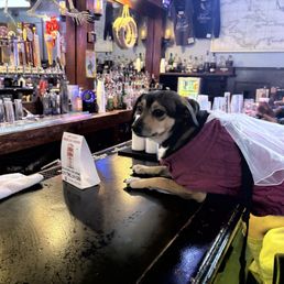 Luna's bachelorette party