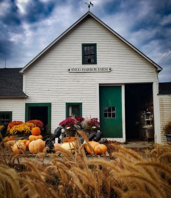 Snug Harbor Farm by null