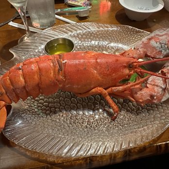 Captain's Catch Seafood Restaurant - 1.5 Lb Lobster - Seafood Near Me - Boynton Beach, Florida
