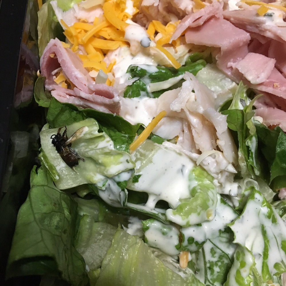 Jason's Deli - Dead fly in my to go salad. - Salad Near Me - League City, Texas Jason's Deli - Dead fly in my to go salad. - Salad Near Me - League City, Texas