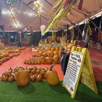 ABC Tree Farms - Pumpkin Patches Near Me - American Canyon, California ABC Tree Farms - Pumpkin Patches Near Me - American Canyon, California