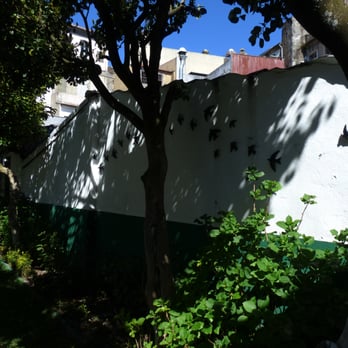 Grande Hotel de Paris - the hotel garden2 - Hotels Near Me - Porto, 13