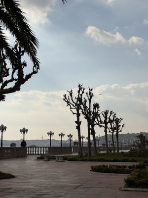 Çırağan Palace by null