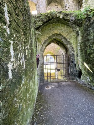 Trim Castle by null