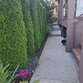Nw Llc gardens - After cleanup - Gardeners Near Me