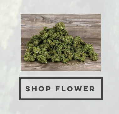 Flower Flower