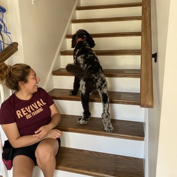 Revival Dog Training - Our pup overcoming his fear of climbing stairs! - Pet Training Near Me - Houston, Texas Revival Dog Training - Our pup overcoming his fear of climbing stairs! - Pet Training Near Me - Houston, Texas