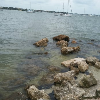 Bayfront Park and Marina - Parks Near Me - Sarasota, Florida Bayfront Park and Marina - Parks Near Me - Sarasota, Florida