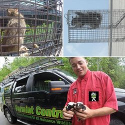 Varmint Control - Photo