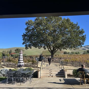 Shadowbrook Winery - Vineyard - Wineries Near Me - Walnut Creek, California